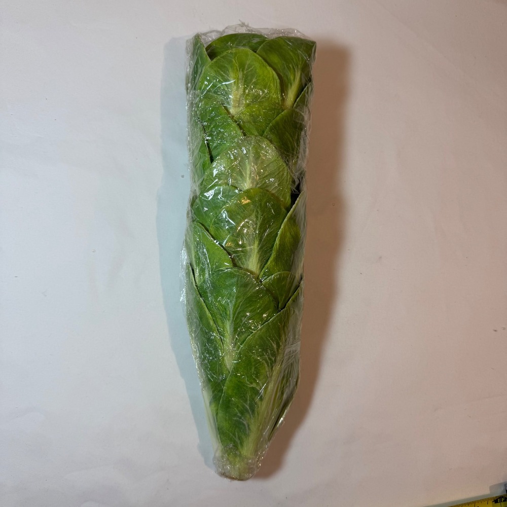 4pc Artificial Romaine Lettuce Heads Faux Vegetable Kitchen Decor Photo Prop